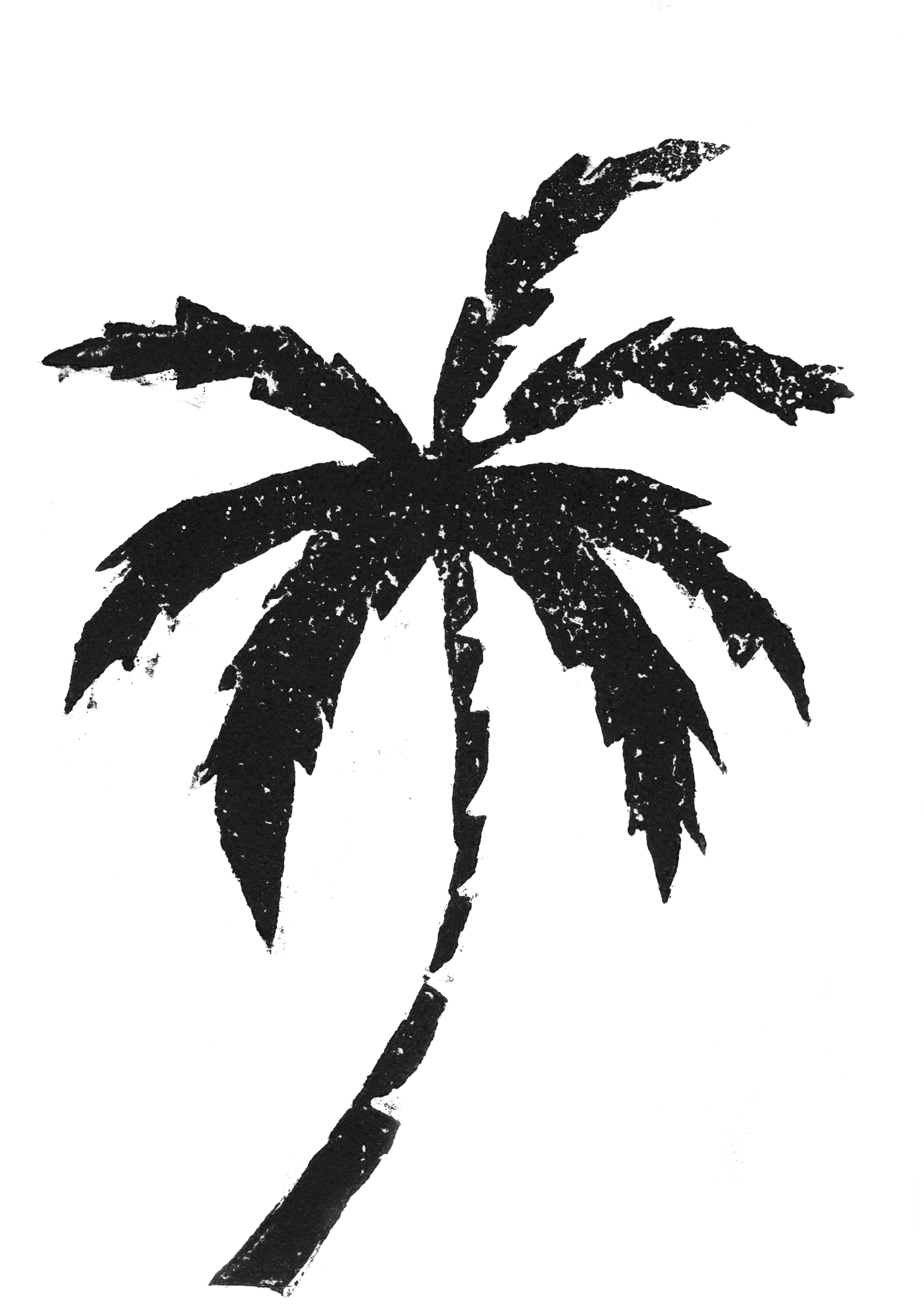 Kokonata