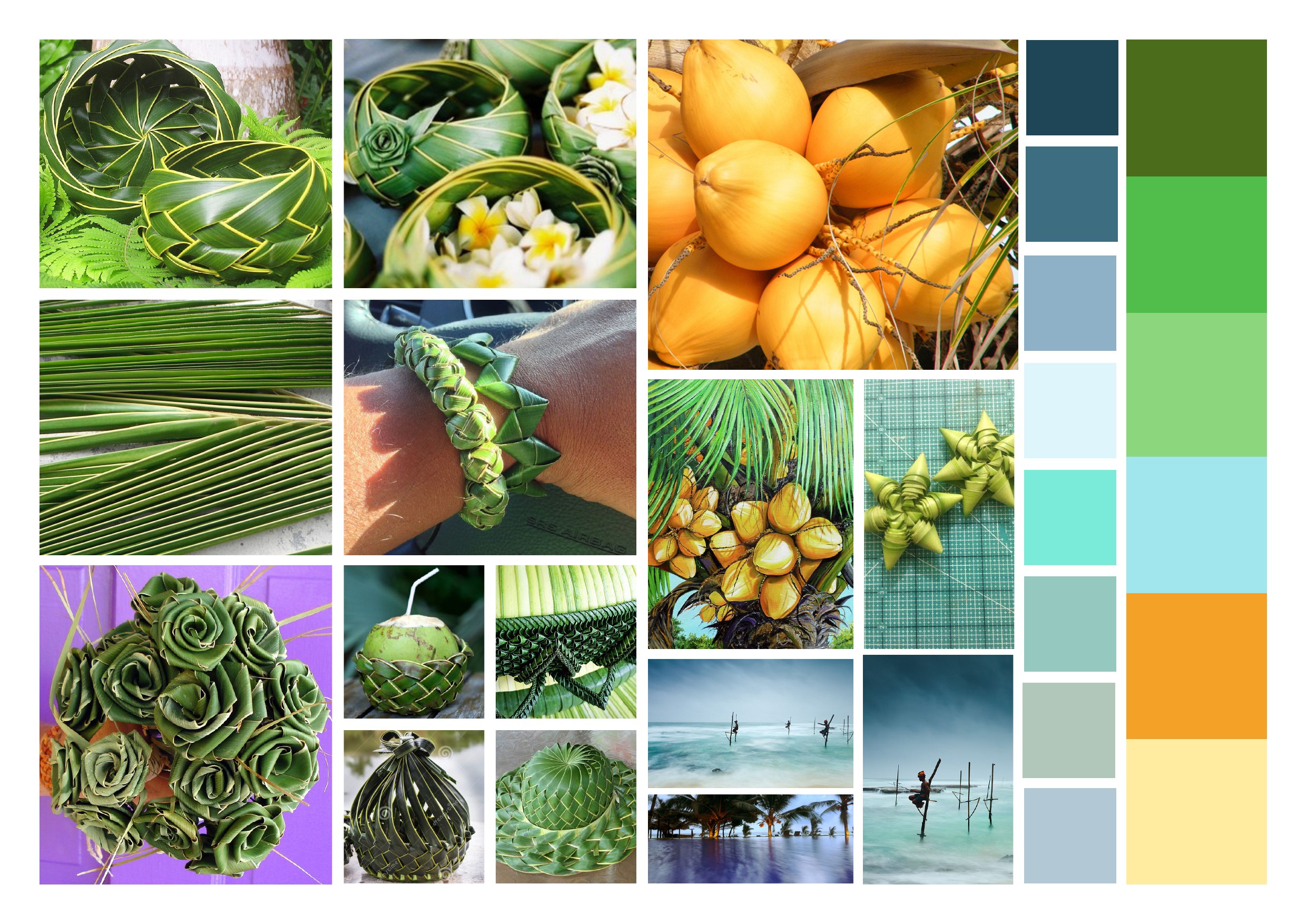 Research — Sri Lanka imagery 2
